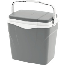 Ladă frigorifică gri din plastic, cu mâner și capac albe.