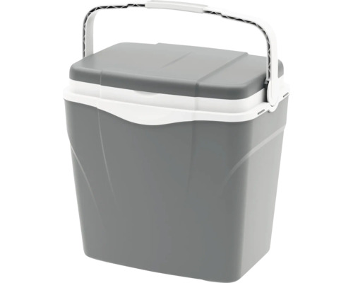 Ladă frigorifică gri din plastic, cu mâner și capac albe.