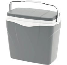 Ladă frigorifică gri cu alb din plastic cu mâner și capac.