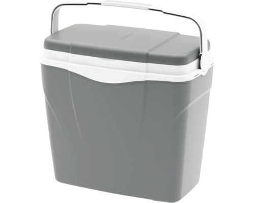 Ladă frigorifică gri cu alb din plastic cu mâner și capac.