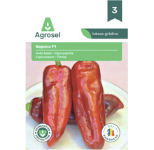 Plic cu semințe de ardei kapia Napoca F1 de la Agrosel cu imaginea unor ardei roșii și simbolul de protecție a germinației.