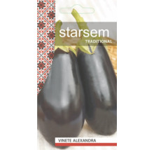 Starsem semințe de vinete Alexandra