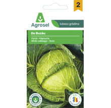 Plic de semințe Agrosel pentru varză albă De Buzău cu imaginea unei căpățâni de varză cu picături de apă.