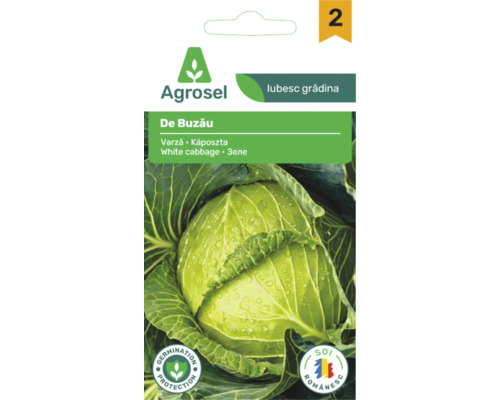 Plic de semințe Agrosel pentru varză albă De Buzău cu imaginea unei căpățâni de varză cu picături de apă.