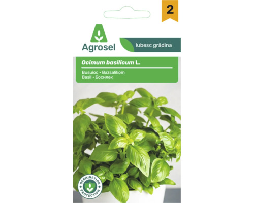 Agrosel Logo, semințe busuioc Ocimum basilicum cu protecție germinare și nivel de dificultate doi.