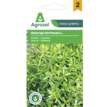 Plic cu semințe de cimbru de grădină Satureja hortensis de la Agrosel cu imaginea plantei verzi și sigiliul de protecție a germinației.