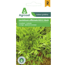 Plic de semințe de leuștean Levisticum officinale de la Agrosel cu imaginea frunzelor și Agrosel Logo.