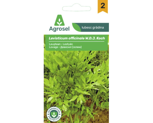Plic de semințe de leuștean Levisticum officinale de la Agrosel cu imaginea frunzelor și Agrosel Logo.