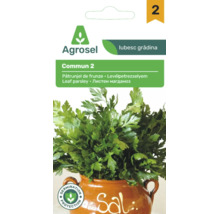 Plic semințe pătrunjel de frunze Agrosel Commun 2