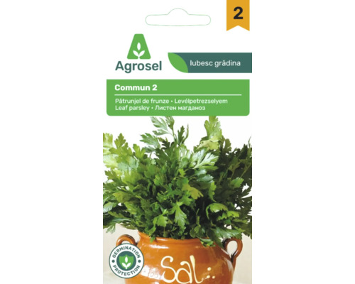 Plic semințe pătrunjel de frunze Agrosel Commun 2