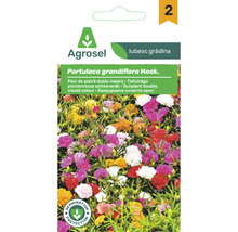 Logo Agrosel, plic de semințe de Flori de piatră Portulaca grandiflora Hook., flori duble în diverse culori, cu simbol pentru protecția germinării.