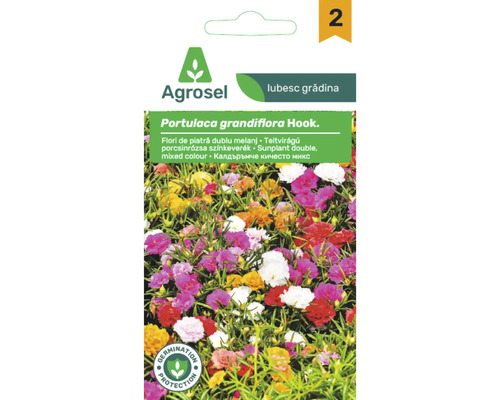Logo Agrosel, plic de semințe de Flori de piatră Portulaca grandiflora Hook., flori duble în diverse culori, cu simbol pentru protecția germinării.
