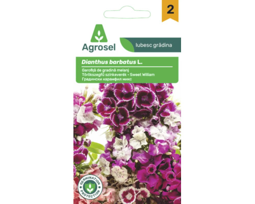 Plic de semințe Agrosel garofiță de grădină Dianthus barbatus melanj cu flori roz și albe și sigiliu de protecție a germinării.