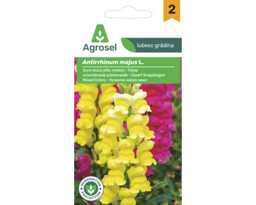 Agrosel plic de semințe gura leului pitic Antirrhinum majus amestec de culori cu protecție la germinare