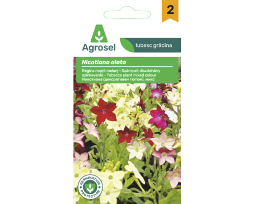 Agrosel Logo pe un plic de semințe pentru Nicotiana alata, Regina nopții cu sigiliu de protecție a germinării.
