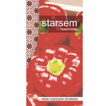 Plic de semințe Starsem Traditional pentru Ardei Gogoșar Splendid