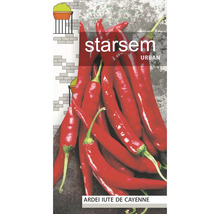 Semințe de ardei iute Cayenne Ardei Iute De Cayenne de la starsem URBAN.