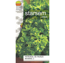 Plic de semințe pătrunjel de frunză Moskrul 2 Starsem Urban cu imaginea frunzelor verzi de pătrunjel creț