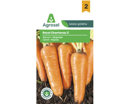 Semințe morcovi Agrosel Royal Chantenay 2, morcovi conici în pământ, protecție germinare, Agrosel Logo.