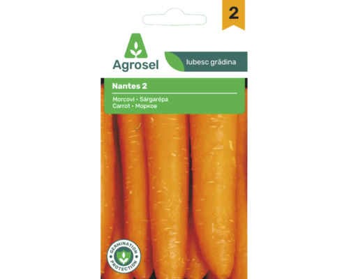 Semințe legume Agrosel morcov Nantes PG2 | HORNBACH