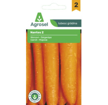 Semințe morcov Agrosel Nantes 2 cu protecție pentru germinare