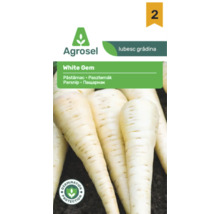 Siglă Agrosel, semințe de păstârnac White Gem, imagine cu păstârnaci albi pe pământ, sigiliu de protecție a germinației.