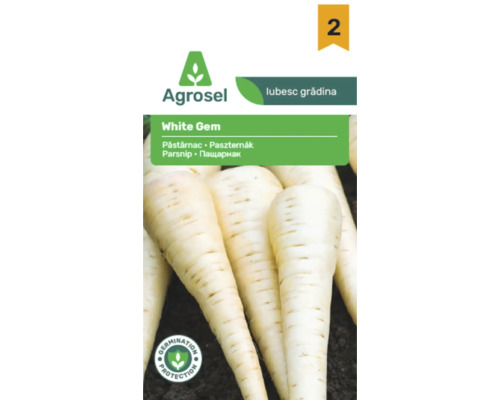 Siglă Agrosel, semințe de păstârnac White Gem, imagine cu păstârnaci albi pe pământ, sigiliu de protecție a germinației.