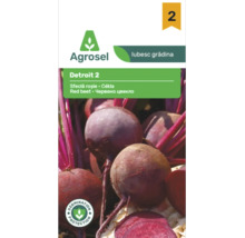 Plic cu semințe de sfeclă roșie Detroit 2 de la Agrosel cu protecție la germinare și Agrosel Logo.