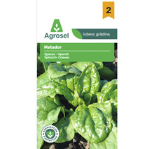 Agrosel Logo pe un plic de semințe de spanac Matador cu imaginea frunzelor de spanac și sigiliu de protecție a germinării.