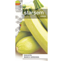 Plic de semințe pentru Dovlecel Bianca Goriziana de la Starsem Urban cu imaginea unor dovlecei de culoare verde deschis.