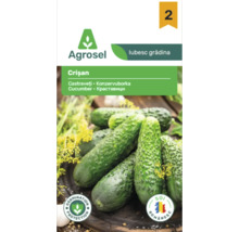 Plic de semințe castraveți Agrosel Crișan cu imaginea unor castraveți și simbol pentru protecția germinării.