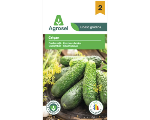 Plic de semințe castraveți Agrosel Crișan cu imaginea unor castraveți și simbol pentru protecția germinării.