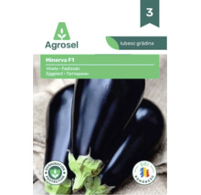Agrosel Logo. Plic cu semințe de vinete Minerva F1 cu imagine de vinete închise, protecție la germinare și marcaj de soi românesc.