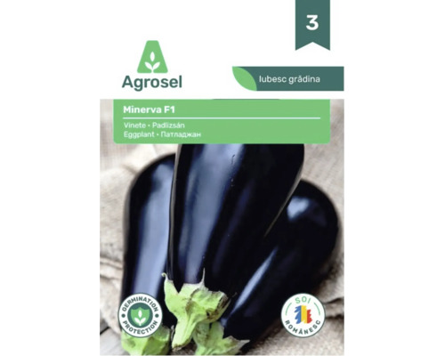 Agrosel Logo. Plic cu semințe de vinete Minerva F1 cu imagine de vinete închise, protecție la germinare și marcaj de soi românesc.