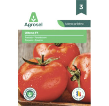 Semințe de tomate Agrosel Oltena F1. Plic cu imaginea a trei tomate, simbol protecție germinație, soi românesc și Agrosel Logo.