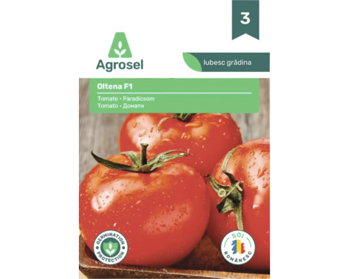 Semințe de tomate Agrosel Oltena F1. Plic cu imaginea a trei tomate, simbol protecție germinație, soi românesc și Agrosel Logo.