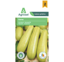 Agrosel Logo. Plic cu semințe de dovlecel Cerna cu fructe verde deschis și sigilii pentru protecția germinației și soi românesc.