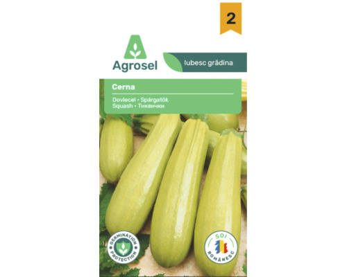 Agrosel Logo. Plic cu semințe de dovlecel Cerna cu fructe verde deschis și sigilii pentru protecția germinației și soi românesc.
