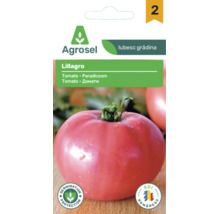 Plic cu semințe de tomate Lillagro de la Agrosel, cu imaginea unei tomate rotunde.