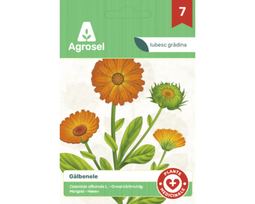 Plic cu semințe de Gălbenele, Calendula officinalis, Agrosel, plantă medicinală.