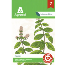 Plic de semințe de mentă Agrosel cu ilustrație a unei plante de mentă și simbol pentru plante medicinale.