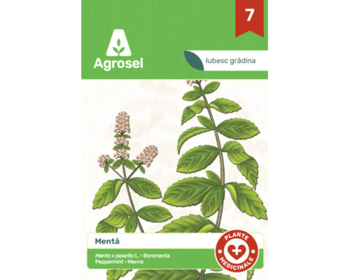 Plic de semințe de mentă Agrosel cu ilustrație a unei plante de mentă și simbol pentru plante medicinale.