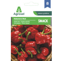 Plic semințe Agrosel Habanero Red, ardei iute cu o imagine cu ardei iuți roșii într-un coș împletit.