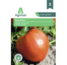 Plic cu semințe de roșii Cuor di bue, Agrosel Logo, sigiliu pentru protecția germinării.