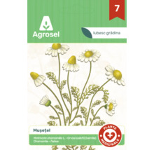 Logo Agrosel, plic semințe de Mușețel, Matricaria chamomilla, plantă medicinală