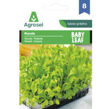 Plic cu semințe Agrosel pentru rucola Baby Leaf cu imaginea frunzelor tinere de rucola într-o tăviță.