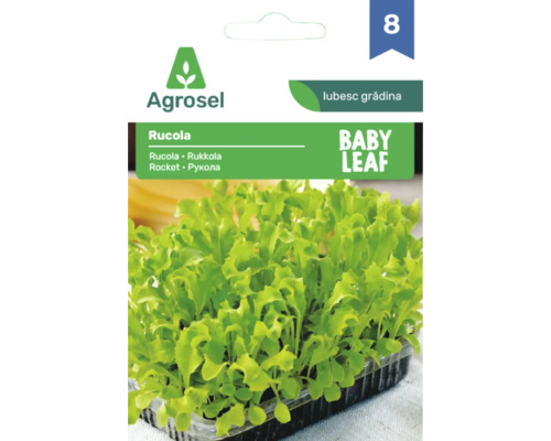 Plic cu semințe Agrosel pentru rucola Baby Leaf cu imaginea frunzelor tinere de rucola într-o tăviță.