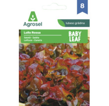 Plic cu semințe Agrosel pentru salată roșie Lollo Rossa Baby Leaf.