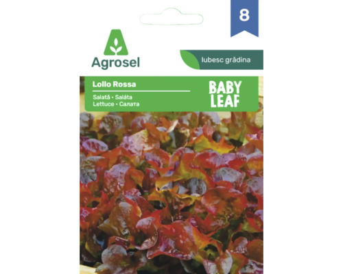 Plic cu semințe Agrosel pentru salată roșie Lollo Rossa Baby Leaf.