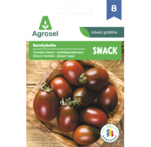 Plic de semințe pentru roșii cherry Sandybelle de la Agrosel, roșii snack închise la culoare într-un bol de lemn și sigiliu soi românesc.